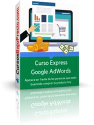 Express Google Adwords de Carlos Cerezo