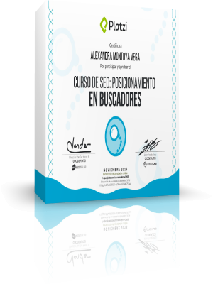 SEO POSICIONAMIENTO EN BUSCADORES