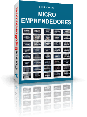 Micro Emprendedores