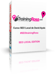 Seo Local Edition de David Ayala