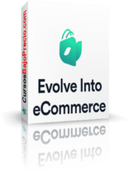 Into eCommerce de Josef Brocki