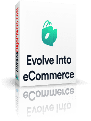 Into eCommerce