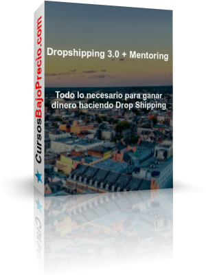 Dropshipping 3 Mentoring