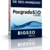 POSGRADO DE SEO AVANZADO de Romuald Fons